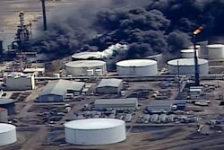 Mnet 200861 Superior Plant