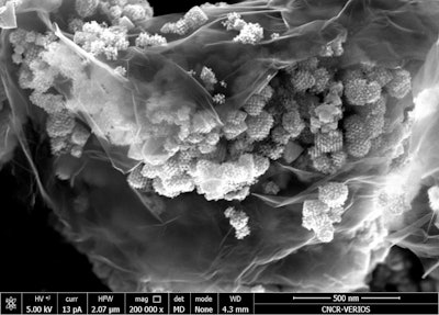 This is an HRSEM picture of a 2D/3D nanocomposite based on graphene. (Freddy Kleitz/Universität Wien; Glaudio Gerbaldi/Politecnico di Torino)