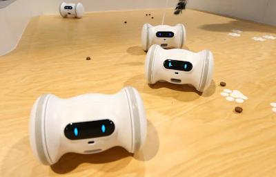 VARRAM claims this smart device helps with pet anxiety and playtime, offering real-time rewards, like treats, and activities, shown at CES International Tuesday, Jan. 8, 2019, in Las Vegas. Image credit: AP Photo/Ross D. Franklin