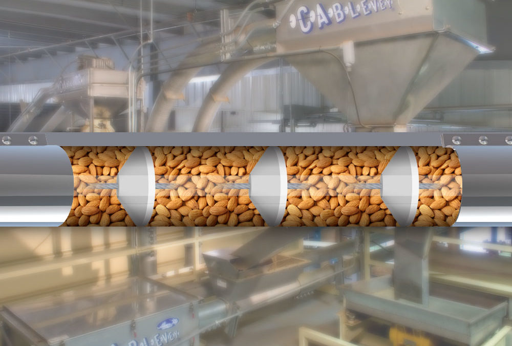 Mnet 203120 Almonds Conveying 1000x675