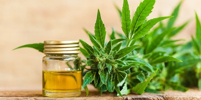 Mnet 204785 Hemp Oil Listing