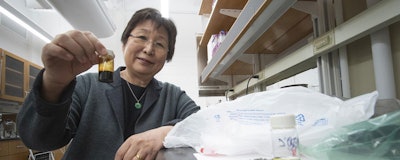A chemical conversion process developed at Purdue University allows researchers to turn recycled shopping bags into pellets into oil as shown in the bottle being held by Linda Wang, the Maxine Spencer Nichols Professor in the Davidson School of Chemical Engineering. Using distillation, that oil is separated into a gasoline-like fuel in the bottle in the counter and a diesel-like fuel not shown. (Purdue Research Foundation/Vincent Walter)