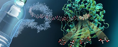 The image depicts the structure of MHETase bound to a non-hydrolyzable PET-derived ligand (MHETA). Symbolic polymer fibers connect MHETA to a typical PET bottle, indicating the large potential of enhanced PETase and MHETase variants in enzymatic plastic recycling. In this regard, our structural data facilitated the generation of initial MHETase variants with improved activity and extended substrate specificity. Our findings thus represent an important step on the way to an improved PETase / MHETase system where PET recycling is decoupled from its dependence on crude oil in an energy-saving and sustainable manner. (Martin Künsting/HZB)