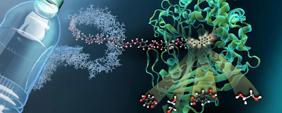 The image depicts the structure of MHETase bound to a non-hydrolyzable PET-derived ligand (MHETA). Symbolic polymer fibers connect MHETA to a typical PET bottle, indicating the large potential of enhanced PETase and MHETase variants in enzymatic plastic recycling. In this regard, our structural data facilitated the generation of initial MHETase variants with improved activity and extended substrate specificity. Our findings thus represent an important step on the way to an improved PETase / MHETase system where PET recycling is decoupled from its dependence on crude oil in an energy-saving and sustainable manner. (Martin Künsting/HZB)