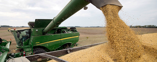 Mnet 212078 China Tariffs Farmers Ap