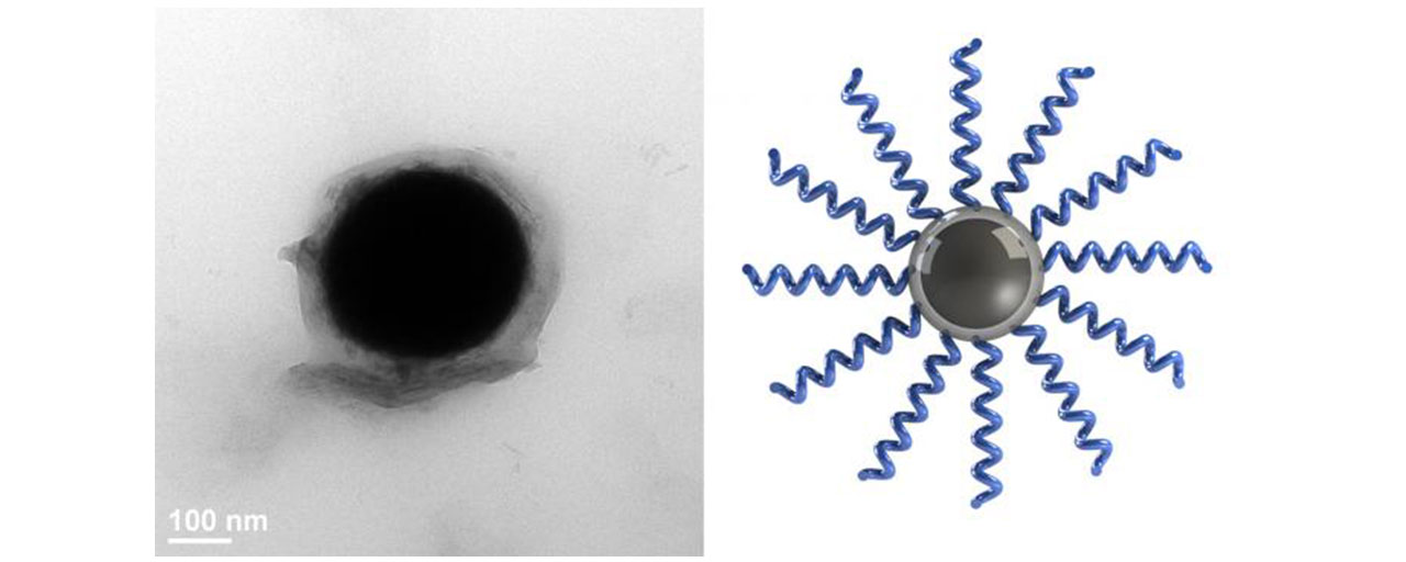 Left: A single liquid metal nanodroplet grafted with polymer chains. Right: Schematic of polymer brushes grafted from the oxide layer of a liquid metal droplet. (Carnegie Mellon University)