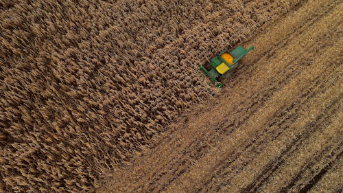 In this Nov. 25, 2019 file photo a corn harvester pushes through a field of grain corn in Warsaw, NY.