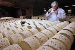 In this Jan. 21, 2009 file photo, Bernard Roques, a refiner of Societe company, smells a Roquefort cheese as they mature in a cellar in Roquefort, southwestern France.