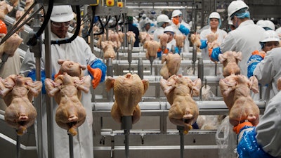 In this Dec. 12, 2019 file photo, workers process chickens at the Lincoln Premium Poultry plant, Costco Wholesale's dedicated poultry supplier, in Fremont, NE.