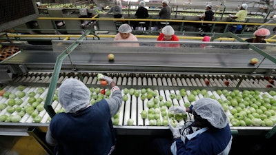 In this Feb. 5, 2020 file photo, workers sort through tomatoes after they are washed before being inspected and packed, in Florida City, FL.