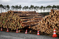 Cleared trees lie stacked on the entrance to the site for the planned Tesla factory near Gruenheide, Germany, Sunday, Feb. 16, 2020.