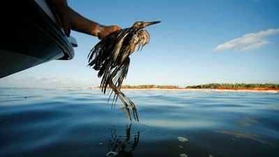 Trump Bird Deaths Ap