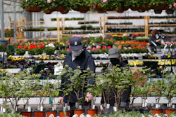 Shoppers look at plants at a nursery in Macomb, Mich., Monday, April 27, 2020.