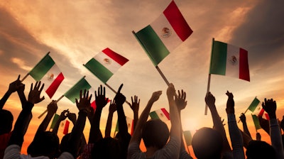 Mexico Flag I Stock 5cc8589300296