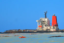 The Japanese carrier ship MV Wakashio seen from the coast of Mauritius, Aug. 16, 2020.