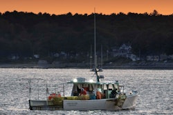 The crew on a lobster boat hauls traps at sunrise on Sept. 21 off Portland, Maine.