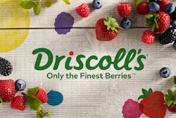 Brand 2560x1440 Video Frame