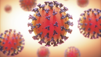 Covid 19 Coronavirus Infections Viruses 1206860717 6800x5500