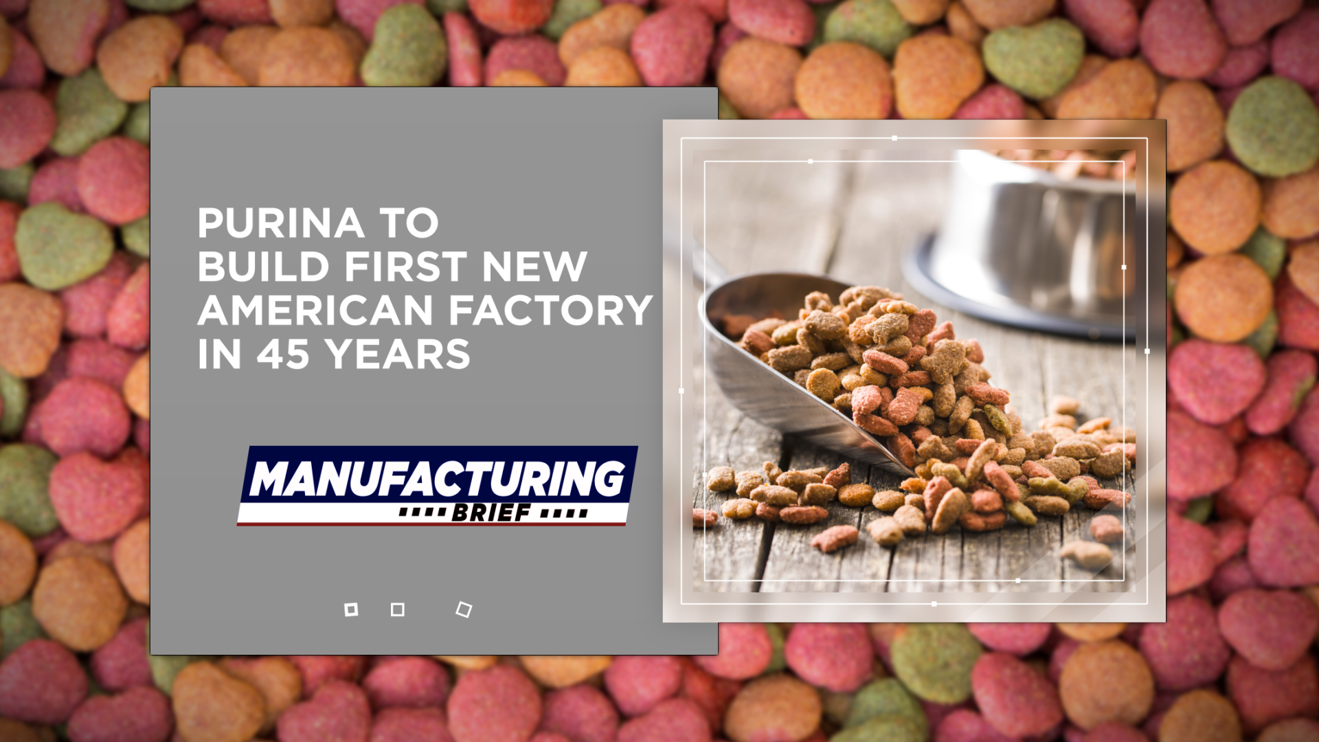 Purina Tn