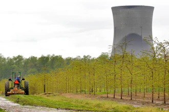 A worker is seen in the area surrounding a tree farm in North Perry, Ohio.