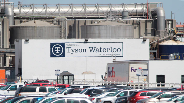 Tyson Fires 7 Over COVID Betting Inquiry - Vimarsana News