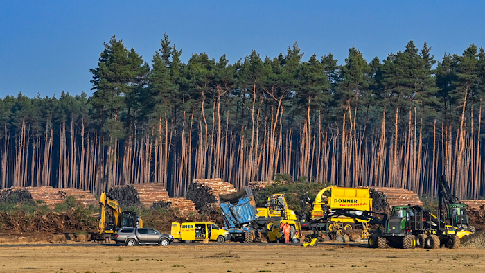 Felled trees lie on the construction site of the Tesla Gigafactory in Gruenheide near Berlin, Germany.