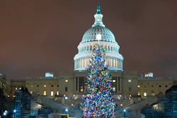 U.S. Capitol Christmas Tree is seen at the U.S. Capitol at night after negotiators sealed a deal for COVID relief Sunday, Dec. 20, 2020, in Washington.