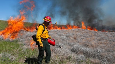 In this June 11, 2020 file photo Wynn Whitmeyer of the Idaho Falls Fire Department uses a drip can to ignite cheat grass and tumbleweeds during a controlled burn east of Idaho Falls, Idaho. Environmentalists have filed a notice of intent to sue the U.S government to block plans to build up to 11,000 miles (17,700 kilometers) of fuel breaks they claim would violate the Endangered Species Act in a misguided effort to slow the advance of wildfires in six Western states.