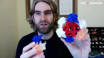 A 3D-printed model of the human papillomavirus showing the protein shell and genetic material inside.