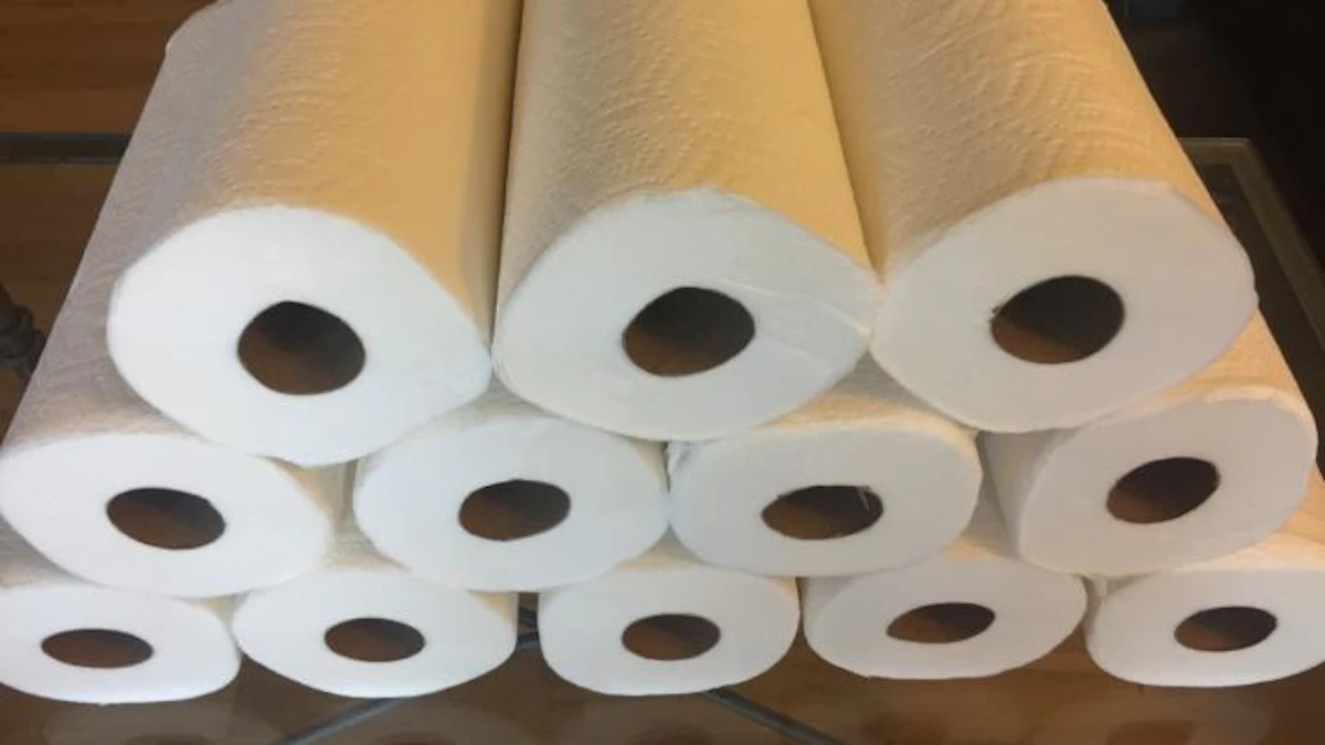 New Tech Could Cut Paper Industry Energy Costs By 30% - Vimarsana News