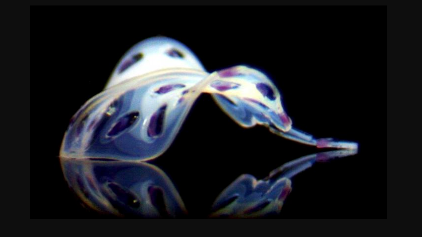 Data Design Viet Nam-Data Design Viet Nam-Data Design Viet Nam-Data Design Viet Nam-Data Design Viet Nam-Data Design Viet Nam-Data Design Viet Nam-Data Design Viet Nam-Data Design Viet Nam-Data Design Viet Nam-Data Design Viet Nam-Data Design Viet Nam-Data Design Viet Nam-Data Design Viet Nam-Data Design Viet Nam-Data Design Viet Nam-Data Design Viet Nam-Data Design Viet Nam-Data Design Viet Nam-Data Design Viet Nam-Data Design Viet Nam-Data Design Viet Nam-Data Design Viet Nam-Data Design Viet Nam-Data Design Viet Nam-Data Design Viet Nam-Data Design Viet Nam-Data Design Viet Nam-Data Design Viet Nam-Data Design Viet Nam-Data Design Viet Nam-Data Design Viet Nam-Data Design Viet Nam-Programming Technology Transforms 2D Materials into 3D Shapes |  Manufacturing.net