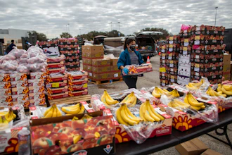 In this file photo, a volunteer carries food to be distributed during the Neighborhood Super Site food distribution event organized by the Houston Food Bank and HISD, in Houston.