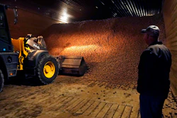 In a March 11 photo, potato farmer Brian Sackett watches as potatoes are moved from a storage bin at his farm in Mecosta, Mich.