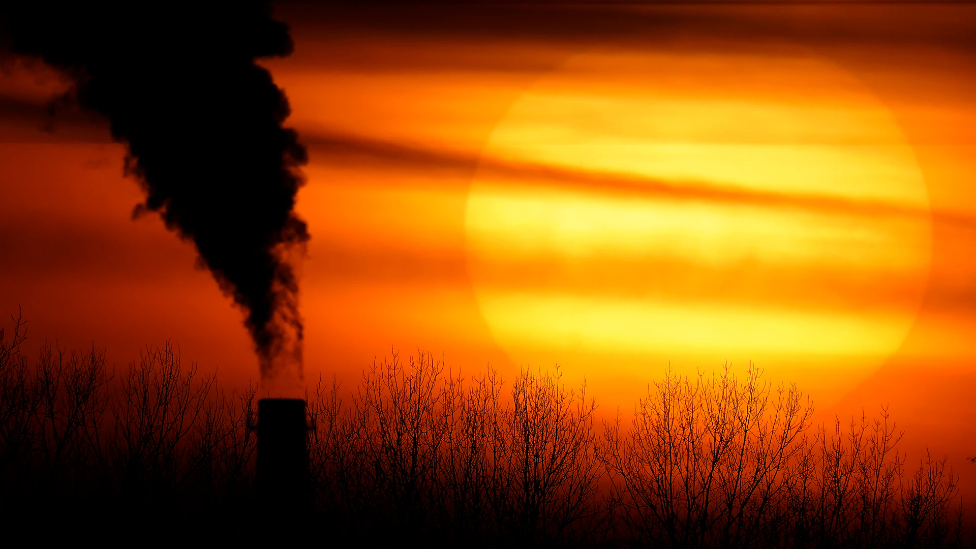 As Climate Summit Nears, Biden Feeling the Heat on Emissions - Vimarsana News