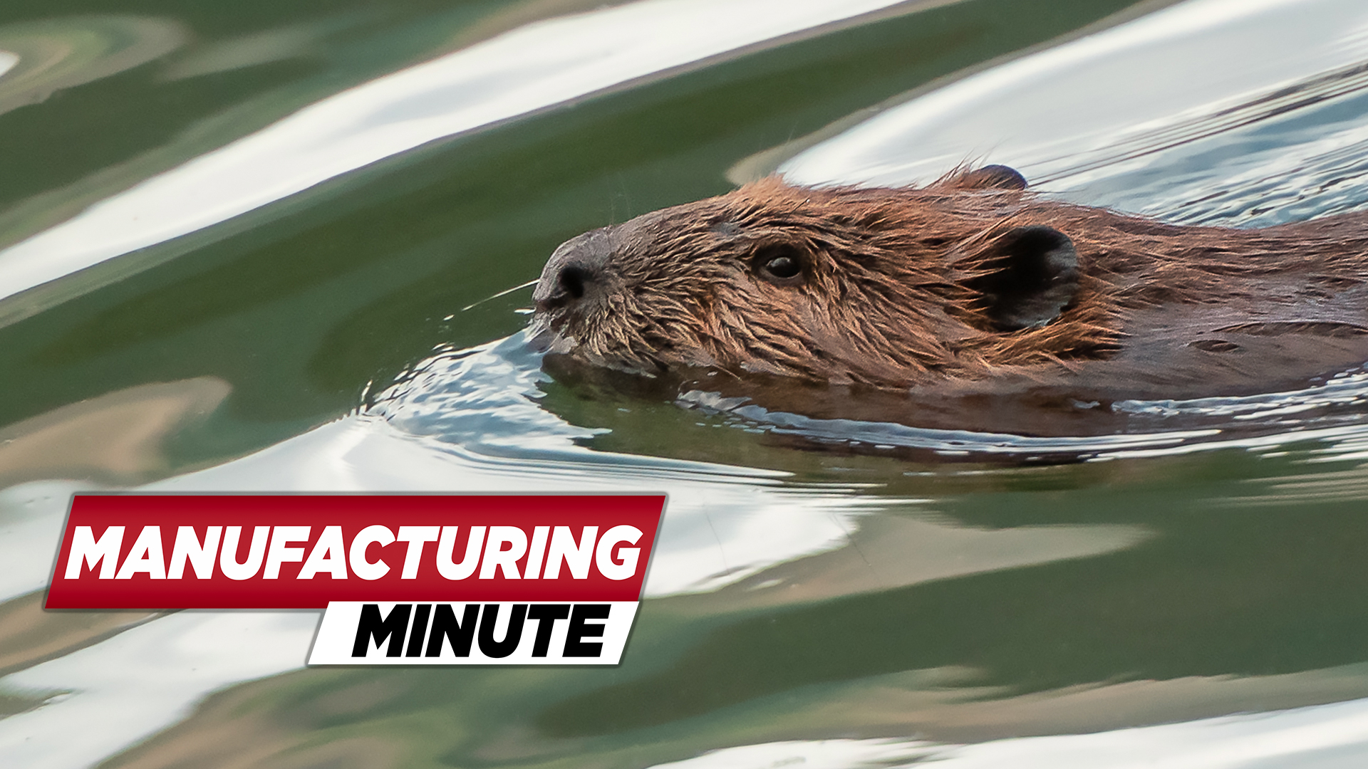 Beavertn