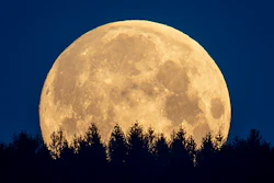 Full moon seen from the Taunus region near Frankfurt, Germany, May 7, 2020.