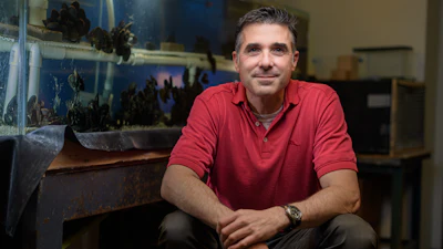 Jonathan Wilker, A Purdue professor of chemistry, studies shellfish to develop adhesives that are more sustainable and stronger, and work in a wider range of environments than current adhesives.