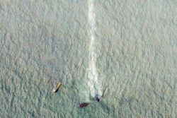 This satellite image from Planet Labs Inc. shows a sinking ship, the Singapore-flagged MV X-Press Pearl, with the oil leak line in the Laccadive Sea off Sri Lanka Monday, June 7, 2021.