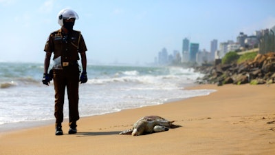 A Sri Lankan policeman looks at a dead turtle that washed ashore in Colombo, Sri Lanka, June 10, 2021. Carcasses of nearly a hundred turtles believed to have been killed due to heat and chemical poisoning from a fire-ravaged ship that sank off while transporting chemicals have been washed to Sri Lanka’s ashore in recent weeks, raising fears of a severe marine disaster.