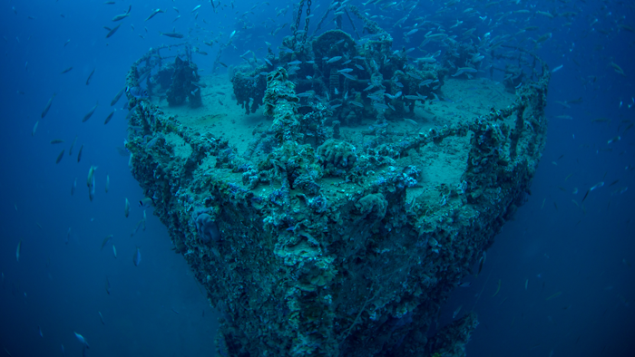 The bow of the wrecked steamship Vis with shoal of fish. The wreck lies in the Croatian Adriatic sea. The ship was sunk after hitting a mine just after the end of WW2.