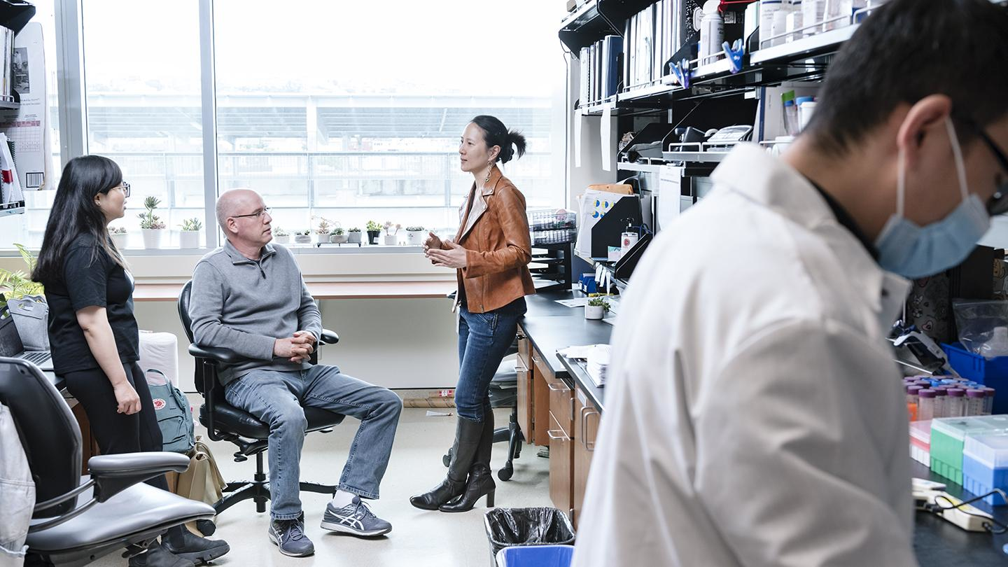 A team of scientists from Gladstone, UC San Francisco and Emory University have uncovered features of T cells that distinguish fatal from non-fatal cases of severe COVID-19. Shown here from left to right are scientist Xiaoyu Luo, research scientist Jason Neidleman, Associate Investigator Nadia Roan, and research associate Matthew McGregor.