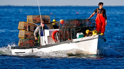 In this Aug. 24, 2019 photo, Adam Daggett stands lookout on the bow as his father, John Daggett, pilots their boat at Cape Porpoise in Kennebunkport, Maine.