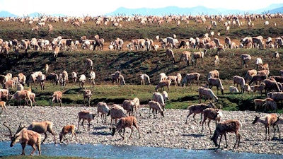 Alaska Wildlife Drilling Ap