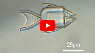Fish-shaped microrobots are guided with magnets to cancer cells, where they open their mouths to release their chemotherapy cargo.
