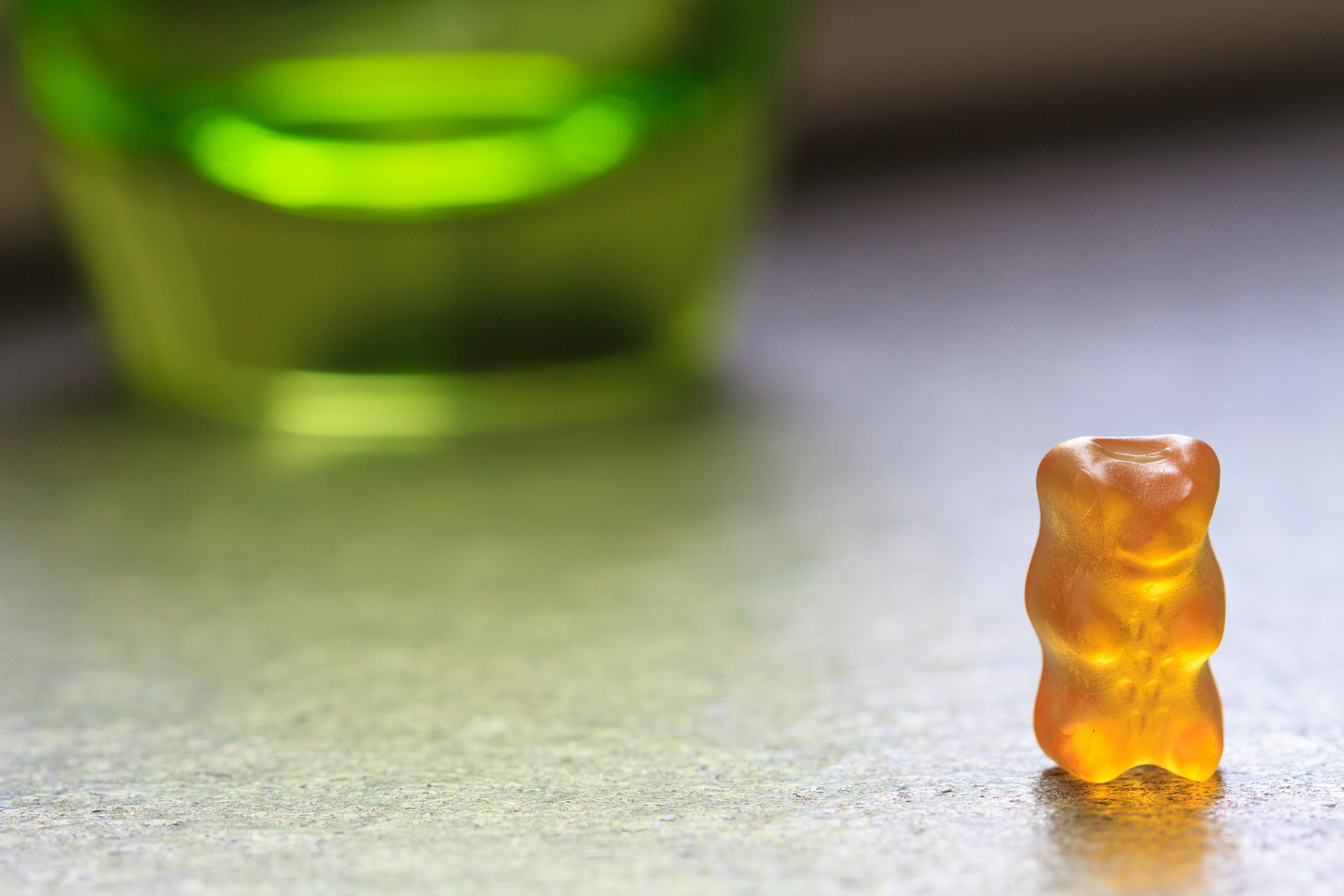 A golden bear stands alone.