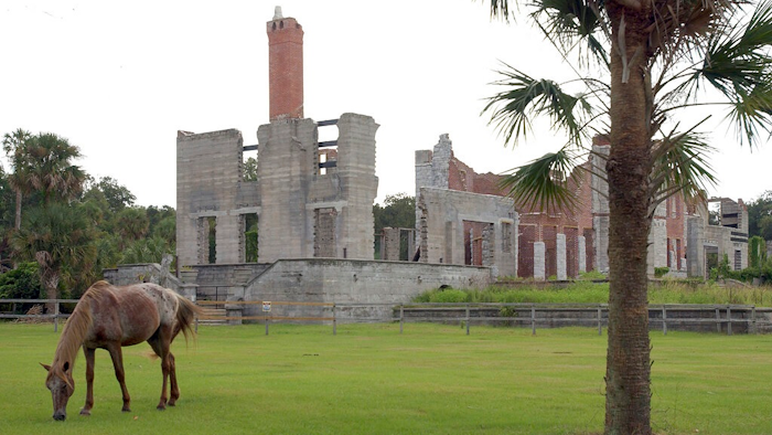 In this Sept. 20, 2008, file photo, a wild horse grazes next to the ruins of the Dungeness mansion in the south end of Cumberland Island in Camden County, Georgia National Seashore. On Monday, Dec. 20, 2021, the Federal Aviation Administration granted a license for a launchpad that would fly commercial rockets from Cumberland Island, located in coastal Georgia.