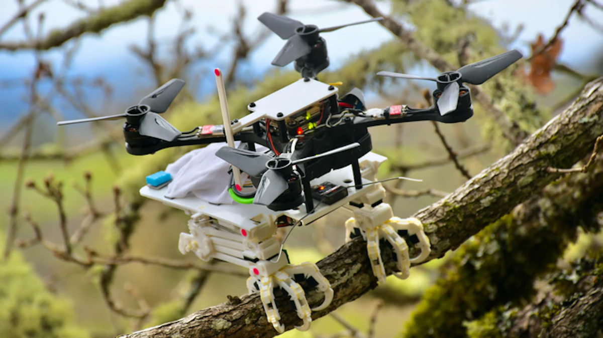 Stanford Engineers Create Perching, Bird-Like Robot - Vimarsana News