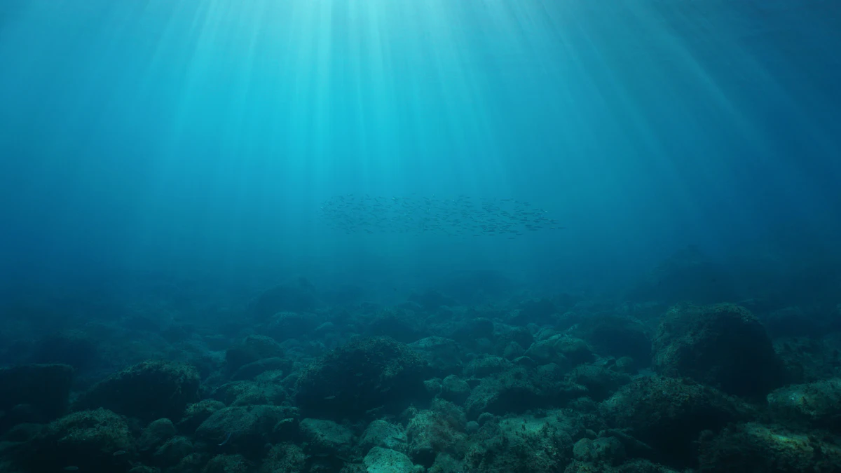 Breakthrough Technology Opens Oceans to the Green Economy - Vimarsana News