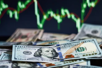 Cash Volatility Economy I Stock 1130260211