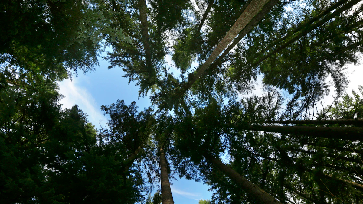 Report: Corporate Climate Pledges Weaker than They Seem - Vimarsana News
